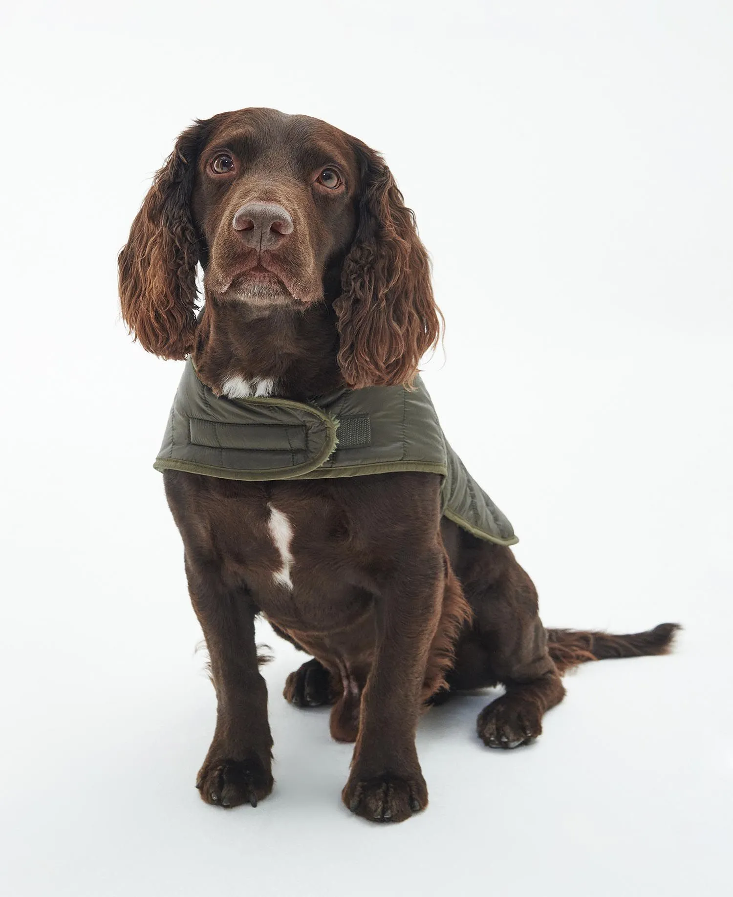  Baffle Quilted Dog Coat     