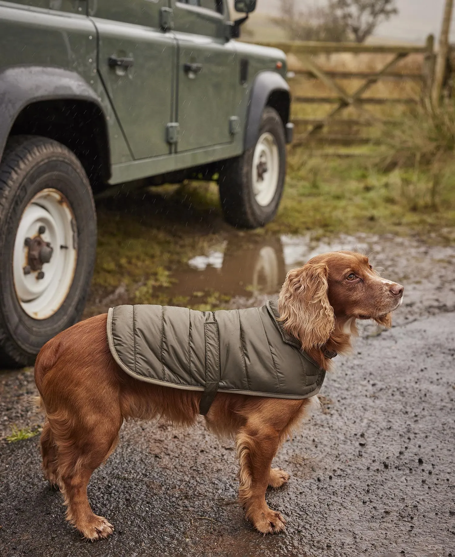  Baffle Quilted Dog Coat     