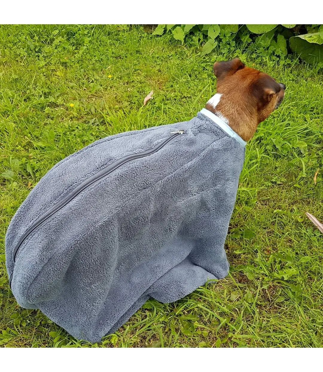 Dog drying coat small grey Henry Wag