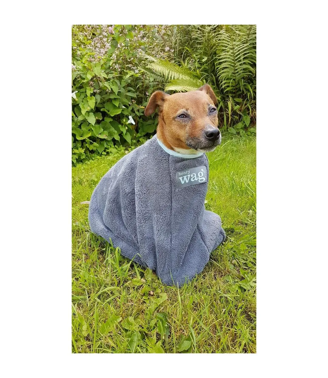 Dog drying coat small grey Henry Wag