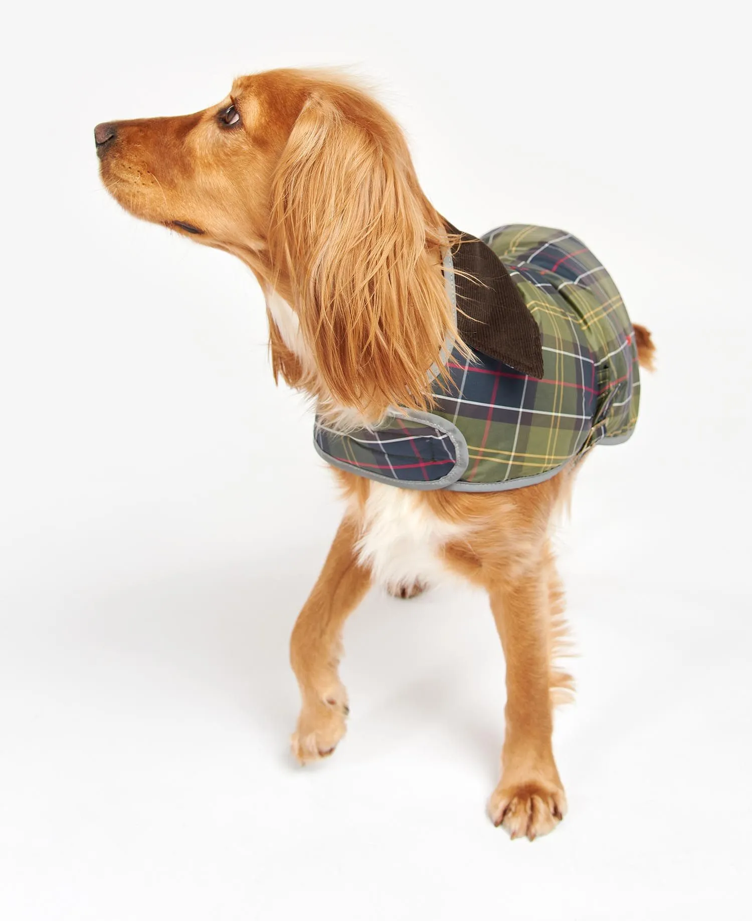  Wetherham Tartan Dog Coat     