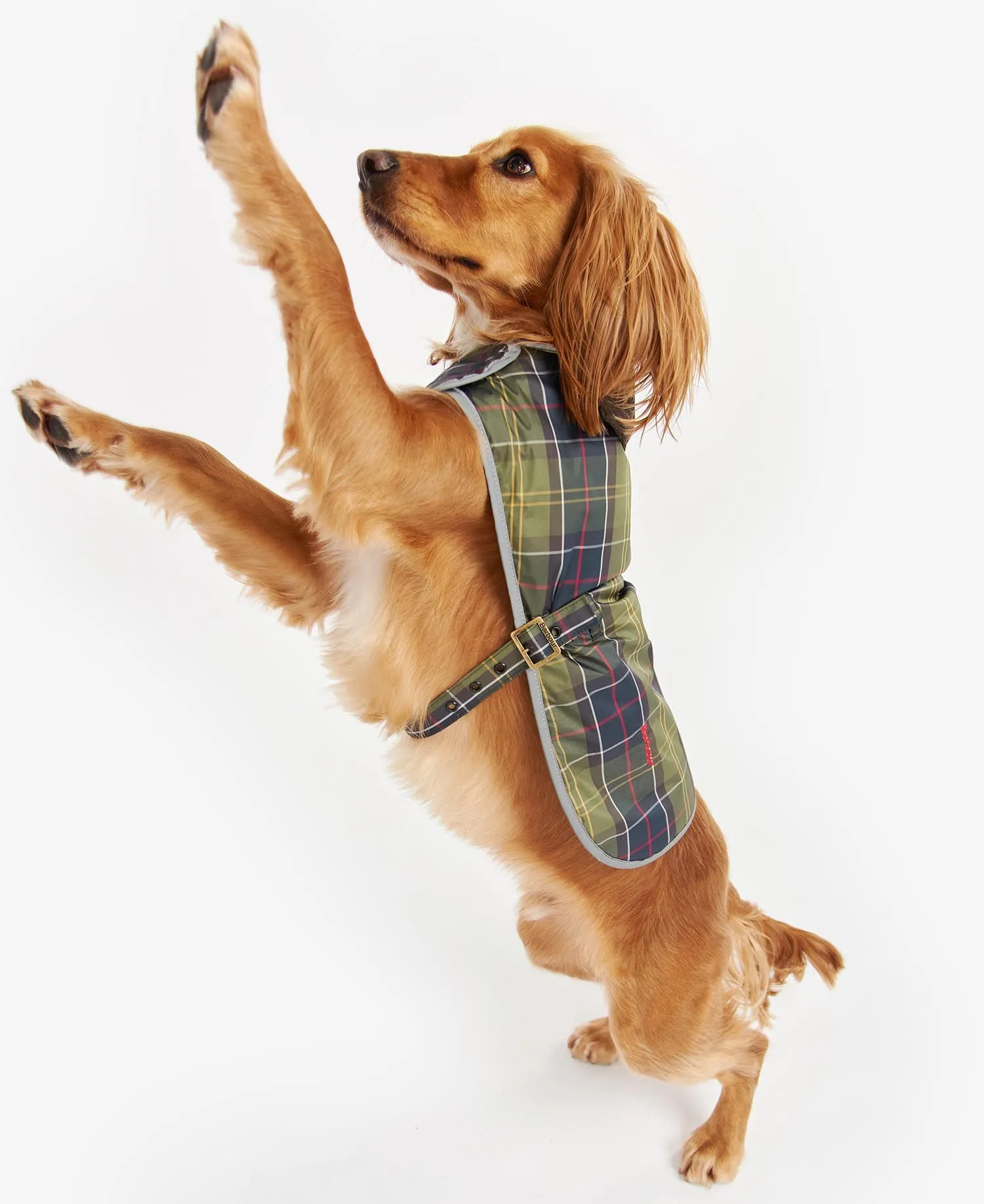  Wetherham Tartan Dog Coat     